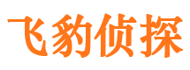 西峰商务调查